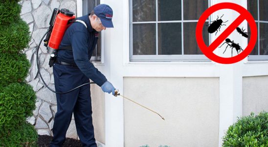 Suruç Dezenfeksiyon böcek ilaçlama ve haşere kontrolü — ilaclama-tr.com
